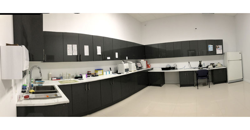 Exam Room toronto 24 hour animal hospital
