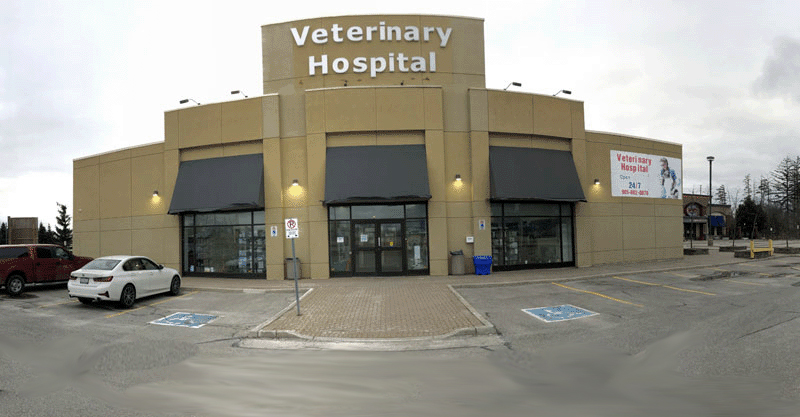 Veterinary Hospital toronto 24 hour animal hospital