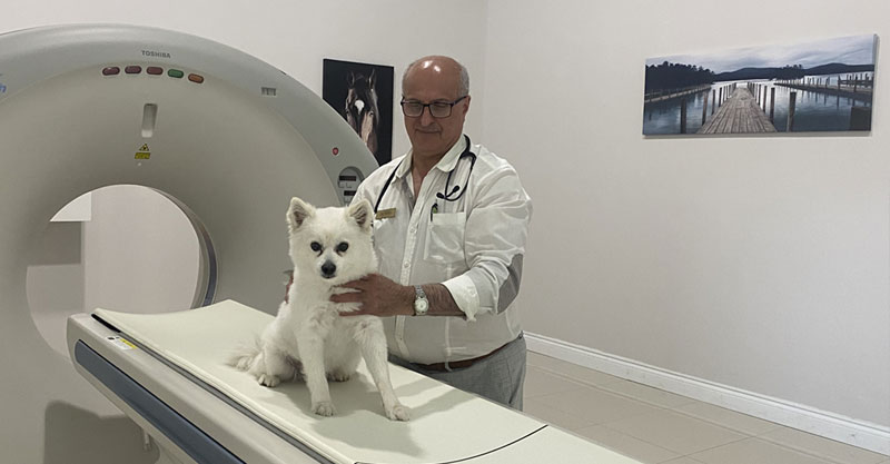 CT Scan toronto 24 hour animal hospital