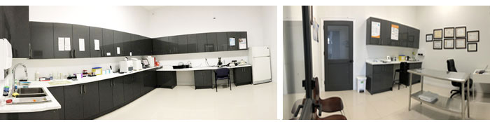 Toronto 24 hour Animal Hospital