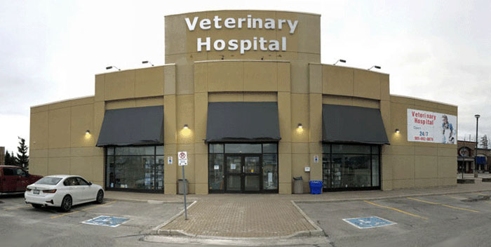 GTA 24 hour Animal Hospita